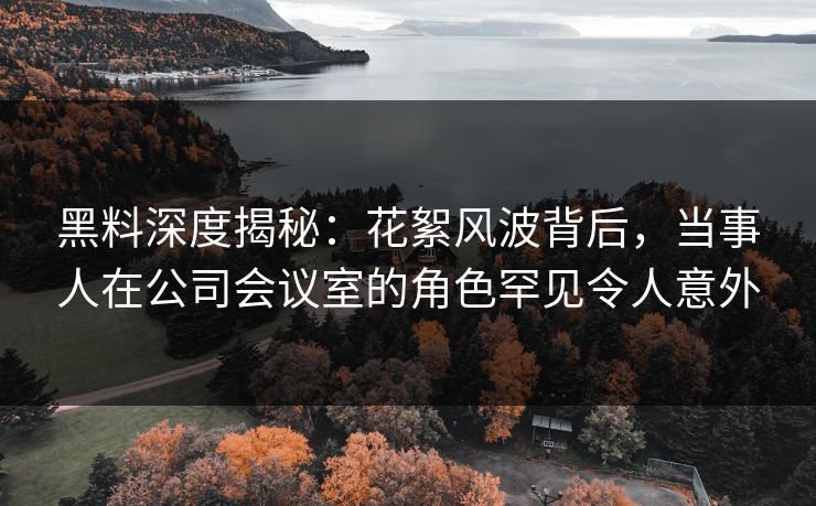 黑料深度揭秘：花絮风波背后，当事人在公司会议室的角色罕见令人意外