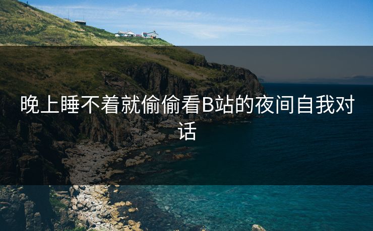 晚上睡不着就偷偷看B站的夜间自我对话
