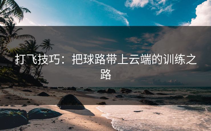 打飞技巧：把球路带上云端的训练之路