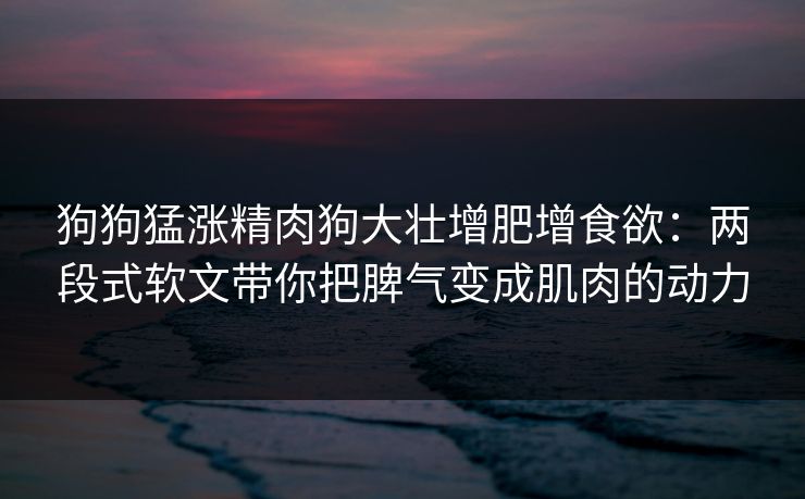 狗狗猛涨精肉狗大壮增肥增食欲：两段式软文带你把脾气变成肌肉的动力  第1张