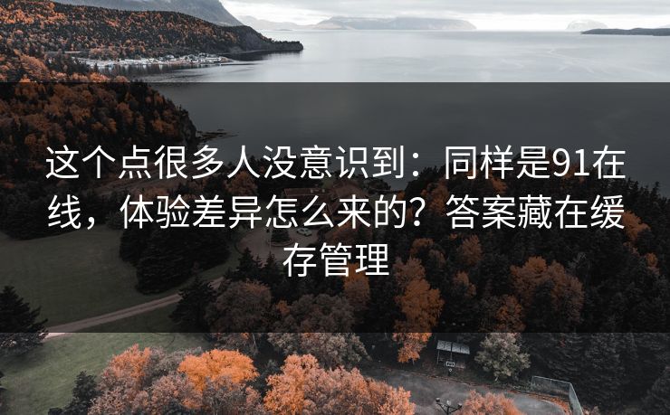 这个点很多人没意识到：同样是91在线，体验差异怎么来的？答案藏在缓存管理  第1张